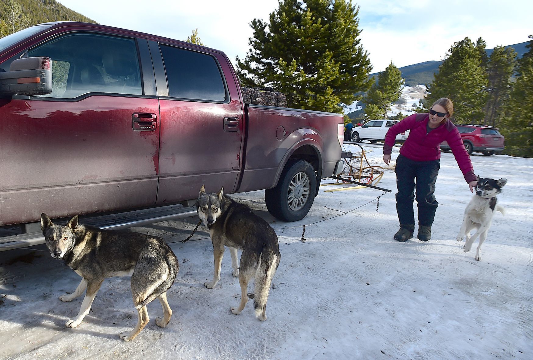 Jen Mignard and sled dogs
